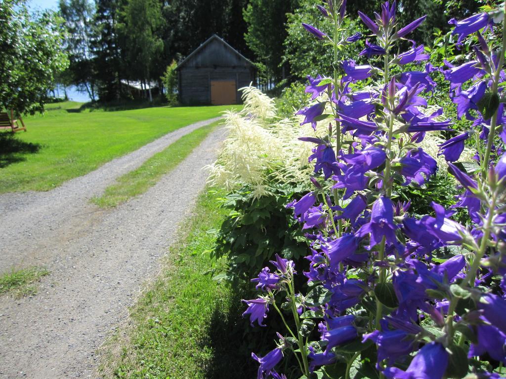 Hotel Karjalan Helmi Tolosenmäki Zewnętrze zdjęcie